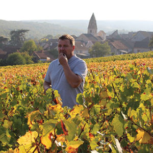 Jérôme Fornerot dans les vignes