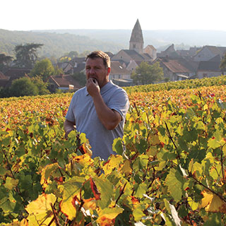 Contact - Jérôme Fornerot dans les vignes